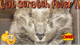 😈😈100.00 - 5.00 scratch offs from Maine 😈😈