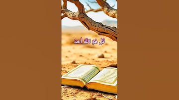suratul ikhlaas #سورة_الإخلاص