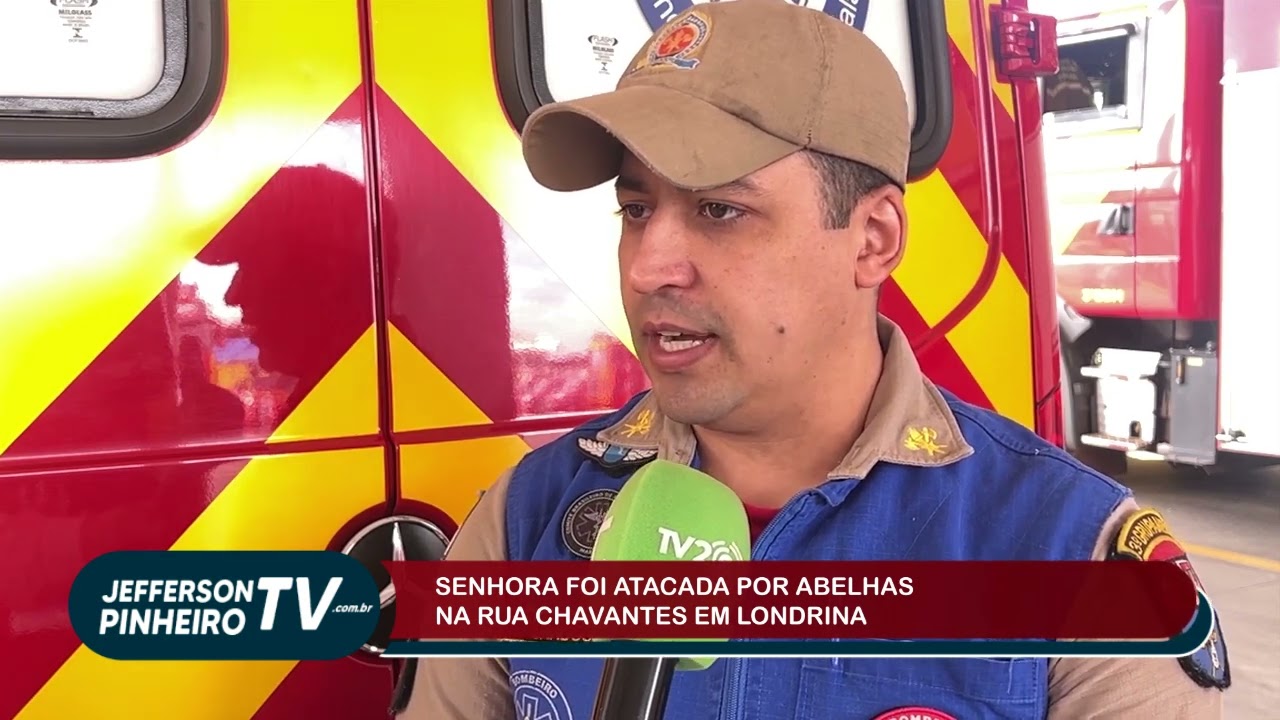 SENHORA FOI ATACADA POR ABELHAS EM VÍA PÚBLICA 