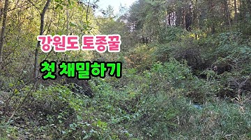 내 꼬추 이쁘게 딱 까주기!🤣
