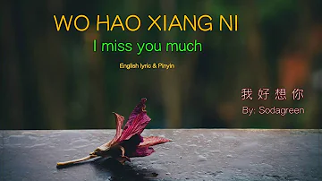 Wo Hao Xiang Ni lyric (I Miss You Much) - Pinyin & English - Learn Chinese by songs