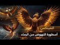 الفينكس أسطورة النهوض من الرماد 