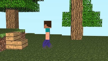Walk test:Minecraft animation