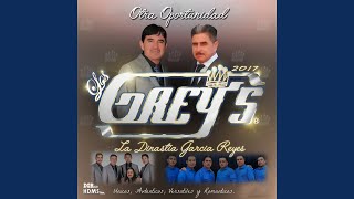 Video thumbnail of "Los Grey's - Yo Te Voy A Amar"