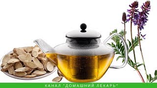 Чай из корня астрагала укрепляет иммунитет - Домашний лекарь - выпуск №187 Чай из корня астрагала укрепляет иммунитет - Домашний лекарь - выпуск №187