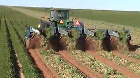 Peanut digger in action   YouTube