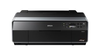 px5vでロール紙の印刷方法をまとめました
