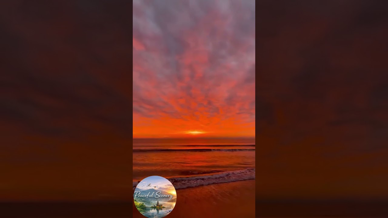 Healing Nature in One View 