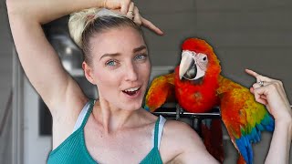 BABY CAMELOT MACAW!! | Baby Bird PSA | BABY Bird Diets ARE DIFFERENT