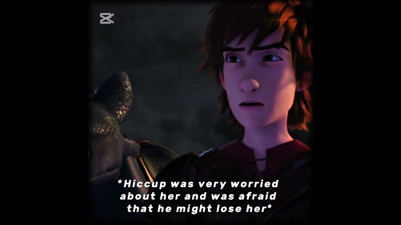 He Was Very Worried About Her Hiccstrid Rtte Httyd Hiccup And Astrid Edit