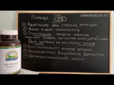 Vídeo: Monarda: Beneficis, Danys, Propietats Nutricionals