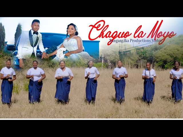 CHAGUO LA MOYO (Official Video 4k)_tp class=