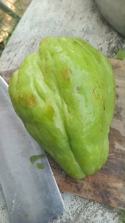 Pengen punya alat kelamin besar?