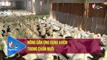 Nông dân ứng dụng KHCN trong chăn nuôi