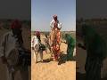عرس صحراوي بنكهة الأصالة على الرمال ت كتب حكاية الحبزفاف يجمع بين ا الصحراء