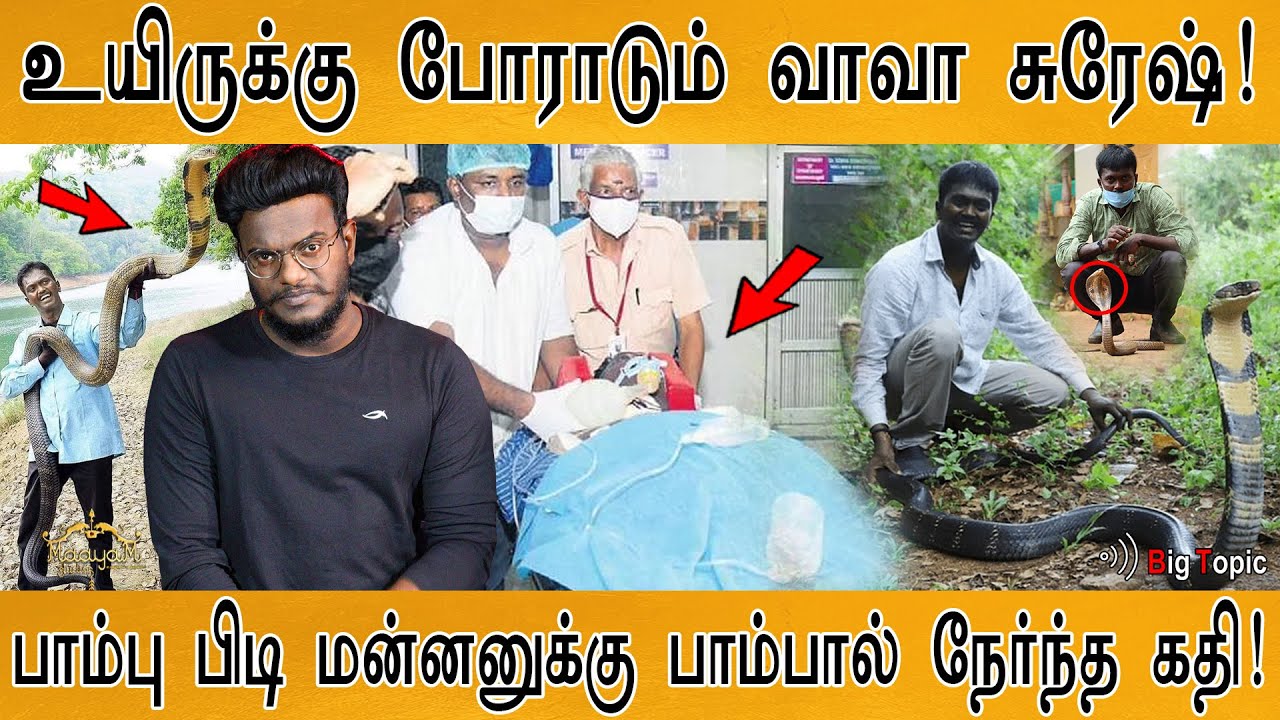 உயிருக்கு போராடும் வாவா சுரேஷ்! | பாம்பு பிடி மன்னன் | Kerala famous snake catcher Vava Suresh | KMK