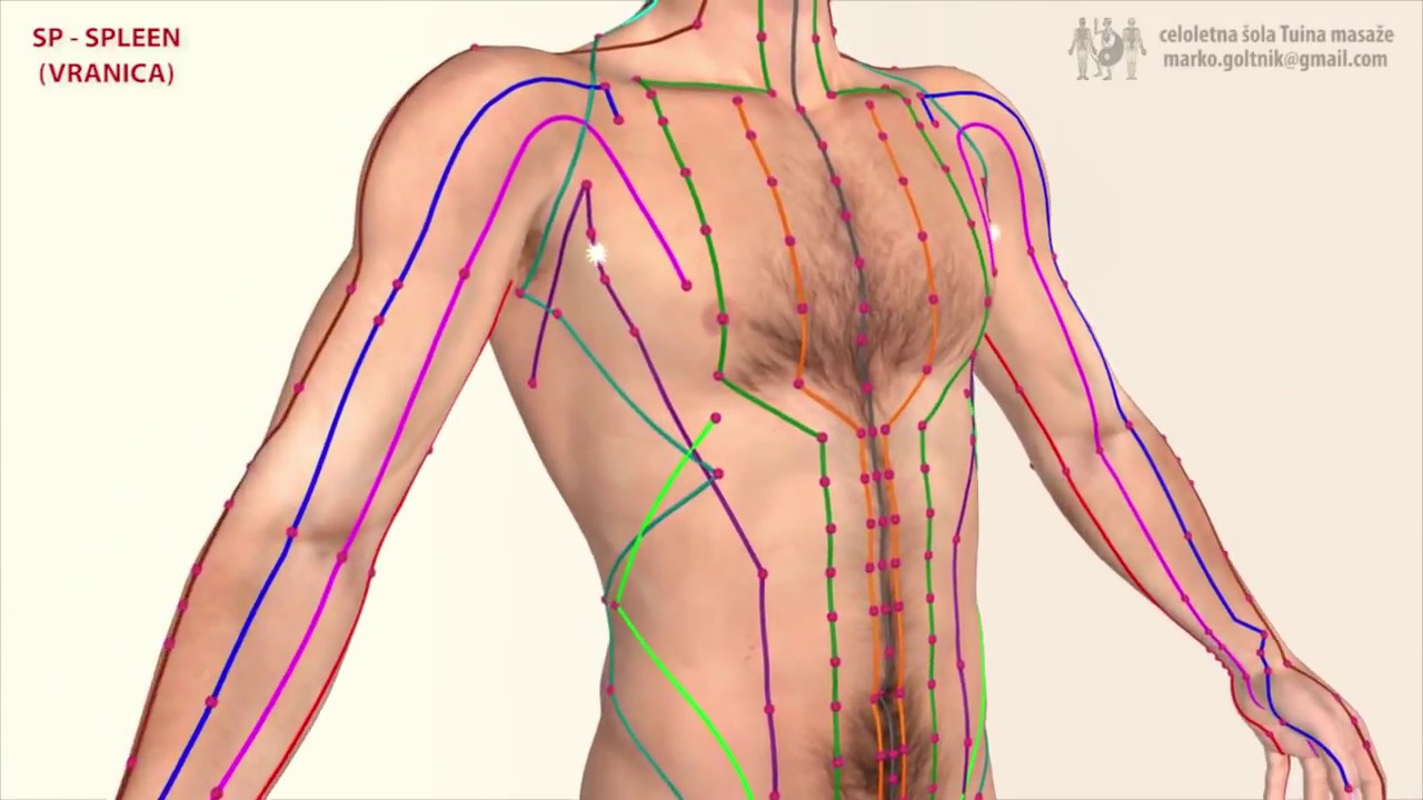 Артровикс меридиан. Меридиан поджелудочной железы точки. Меридиан селезенки. Меридиан селезенки и поджелудочной железы. Меридиан селезенки точки.