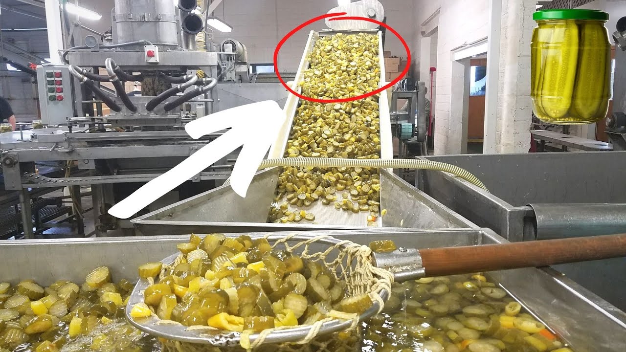 How Are Made Pickles In Factory? Food Factory YouTube
