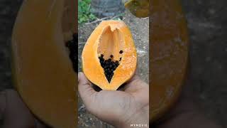 Farm fresh ninja fruit cutting | oddly satisfying fruit cutting | Amazing fruits cutting skills