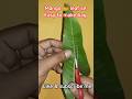 #art #easy to make mango leaf yo bag #youtubeshorts #youtubevideo #