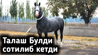 картинка: БАЙ БАЙ ТОЙИНГ БУЛСА ШУНДАЙ БУЛСА. KRASAVCHIK TOY SOTILADI.(Mus Tv)#OT