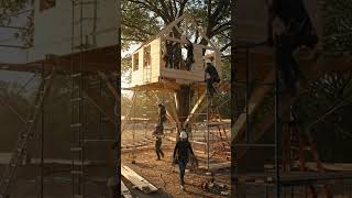 Building a Wooden House from Trees 🌳🏡#WoodenHouse #TreeHouse #NatureBuild #EcoFriendly #House