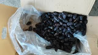 dates pitting machine testing video for Himax Clients.