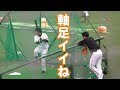 エース菅野も釘付け 丸佳浩 打撃練習 (2019-0201)
