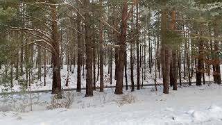 Noch Mehr Abgase In Die Winterluft