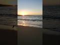 Sept 9 2025 #california #beach #treasuresearch #waves #monterey