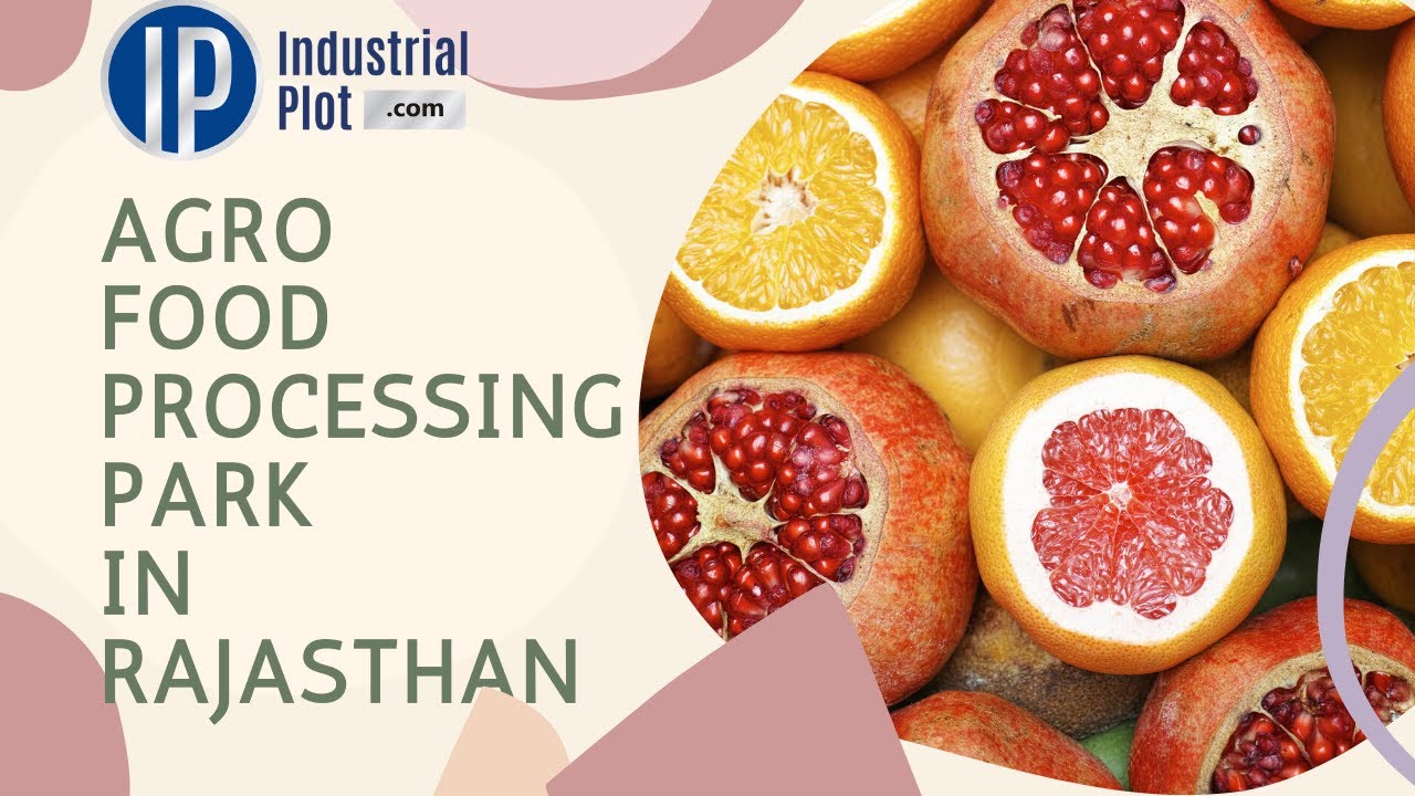 RIICO Agro Food Park in Rajasthan Food Processing Park in Rajasthan