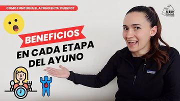 ¿Cuáles son las fases del ayuno?