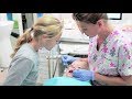 Dr jona andersen  dentiste pour enfants  interview