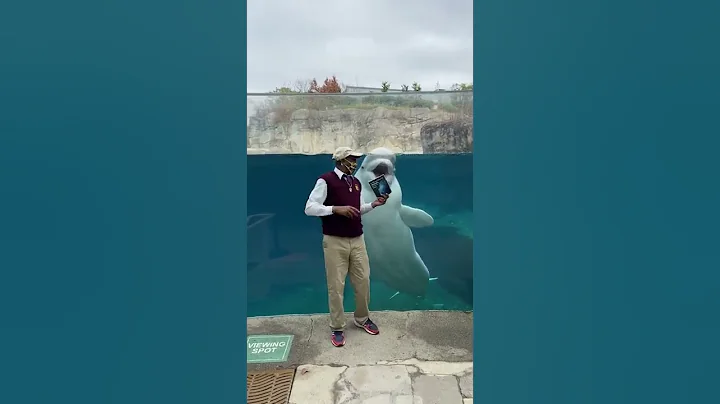 The Poet and the Whale