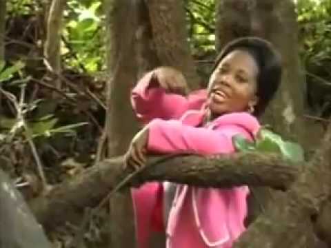 Video: Nyumbani Rose - Nini Cha Kufanya Ikiwa Majani Yananyauka Au Kuruka Karibu