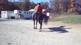 M4H08179.MP4