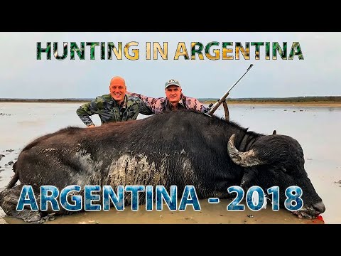 Argentina ovu - Охота в Аргентине 2018