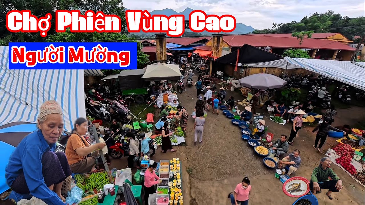 Chợ Phiên MƯỜNG ĐỘNG PHÚ THỌ Bán Toàn Đồ Độc Lạ Quý Hiếm Trên Rừng Chưa Từng Thấy