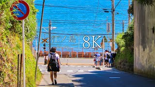 [Seaside town that suits youth] 10 scenic spots in Enoshima  JAPAN in 8K