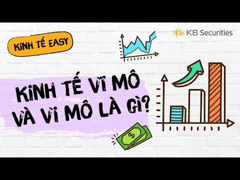 Video: Ví dụ về kinh tế vĩ mô trong đời sống con người