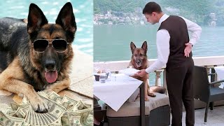 The Worlds Richest Pets