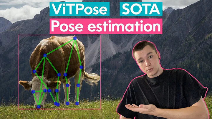ViTPose — How to Use the Best Pose Estimation Model on Humans & Animals | Computer Vision Tutorial