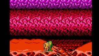 Battletoads - Turbo Tunnel - 2 Player Mode