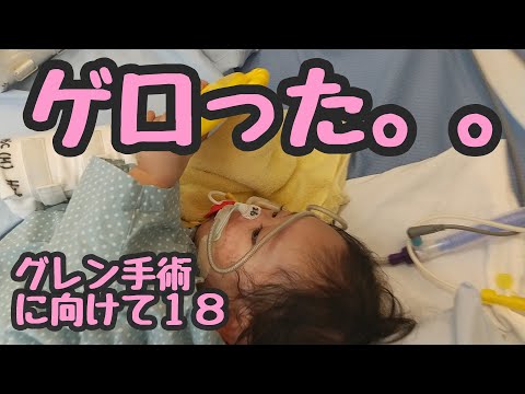 【ゲロった。】グレン手術に向けて１８ (ゲロったらすっきり・・・)