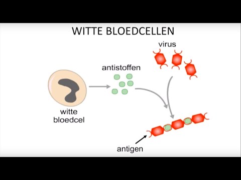 Virussen, bacteriën, witte bloedcellen en inentingen