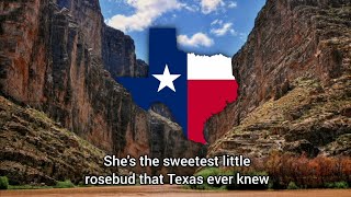 'The Yellow Rose of Texas' American Folk Song - Lyrics