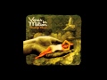 Venus In Motion - Again & Again (Seamless Recordings)