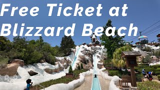 Blizzard Beach 4K Tour| Walt Disney World 2025 @mouse-gears-tv