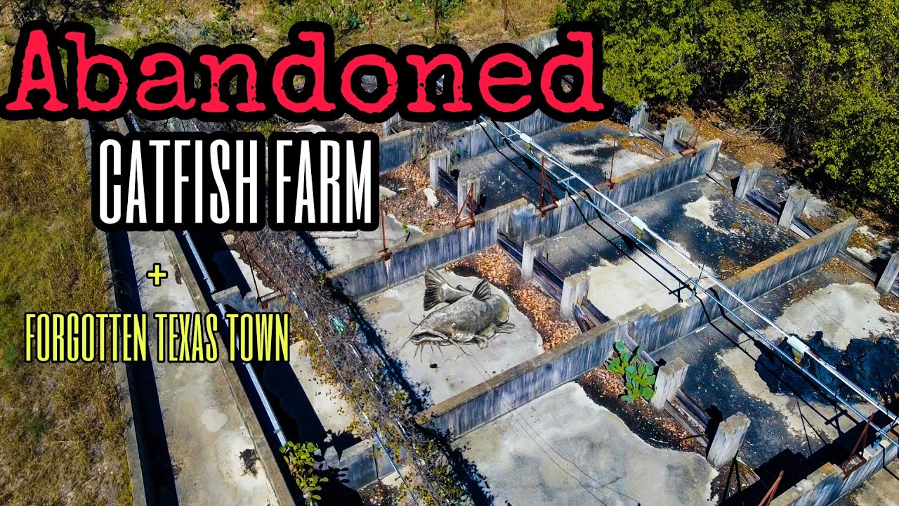 Texas Town with an Abandoned Catfish Farm YouTube