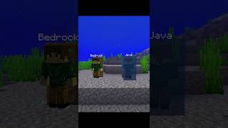 Minecraft Java Vs Bedrock Door...